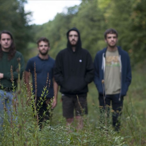 The Hotelier