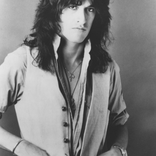 The Joe Perry Project