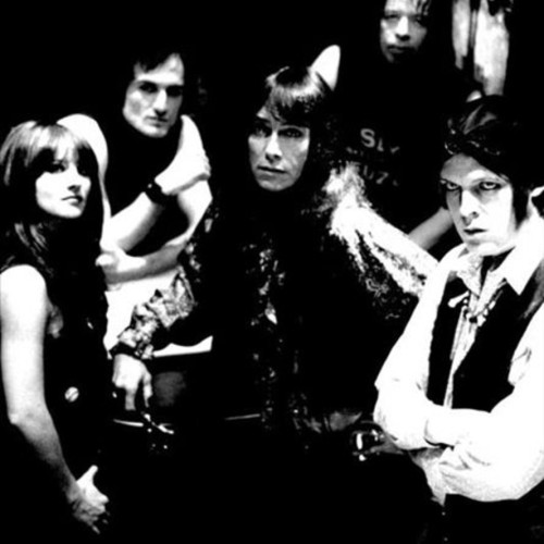 The Fuzztones