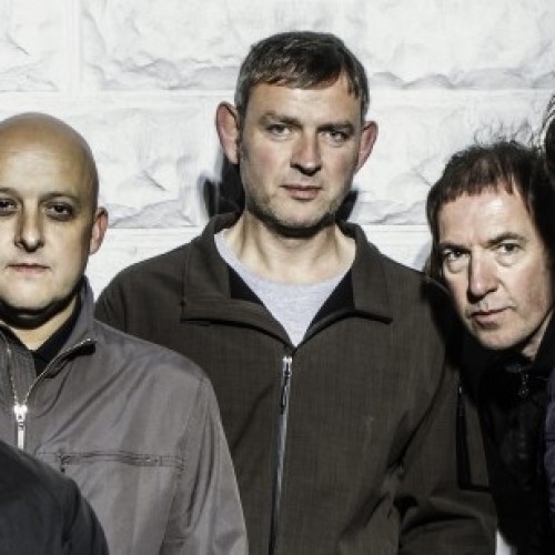 Inspiral Carpets