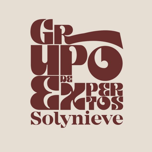 Grupo de expertos Solynieve