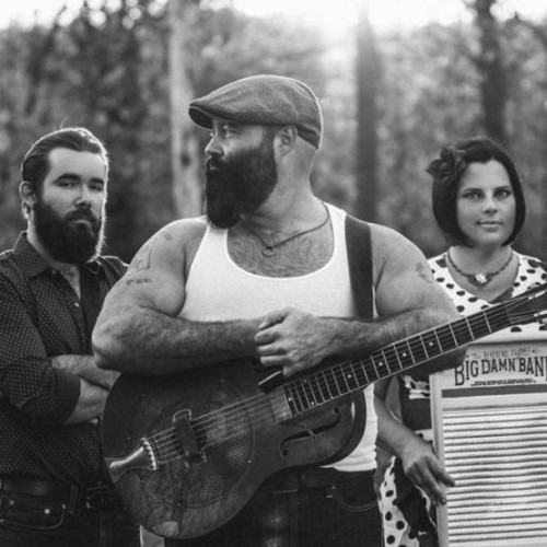 The Reverend Peyton's Big Damn Band