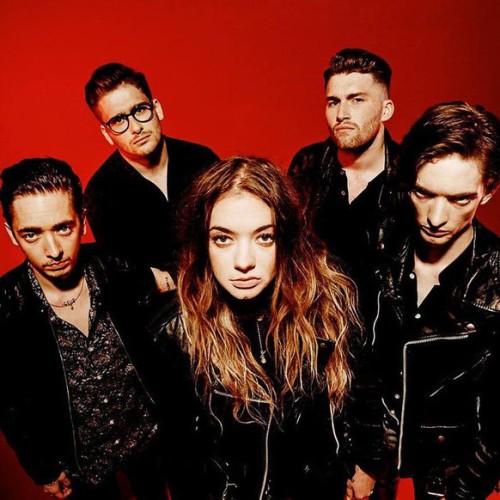 Marmozets