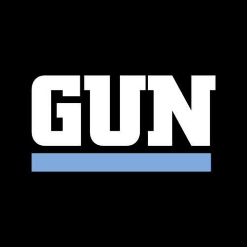 Gun