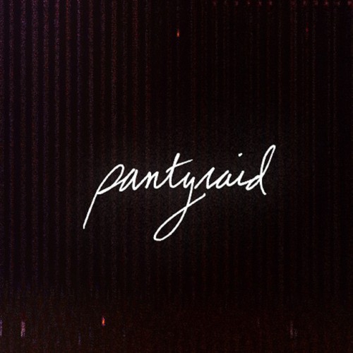 Pantyraid