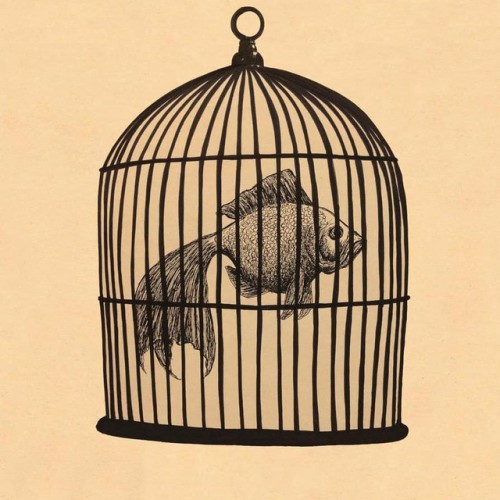 Fish in a Birdcage