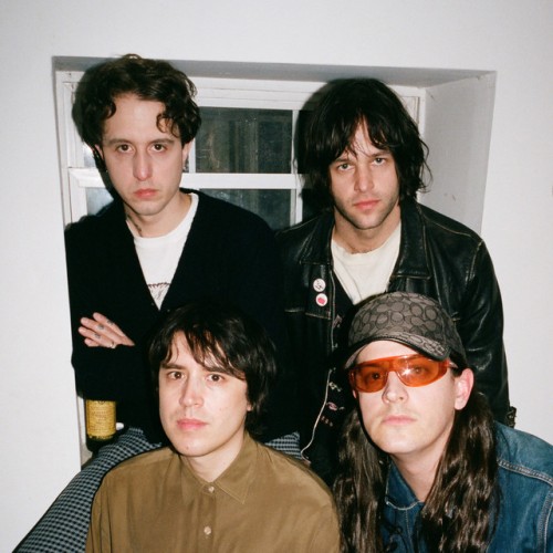 Beach Fossils