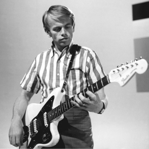 Al Jardine