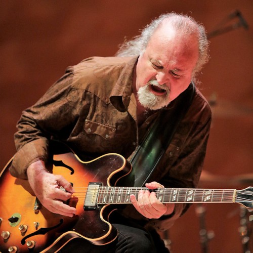 Tinsley Ellis