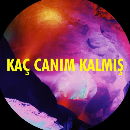 Kaç Canım Kalmış