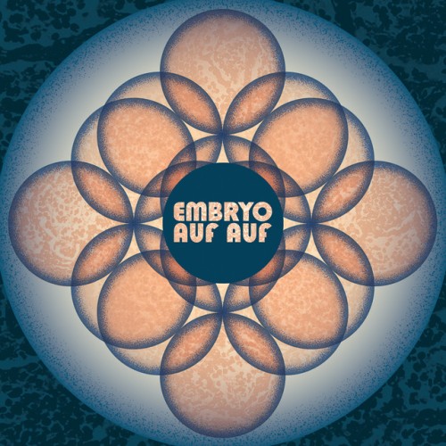 Embryo