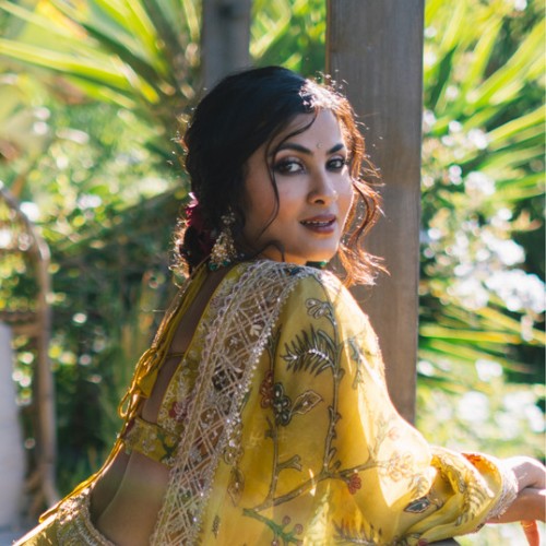 Vidya Vox