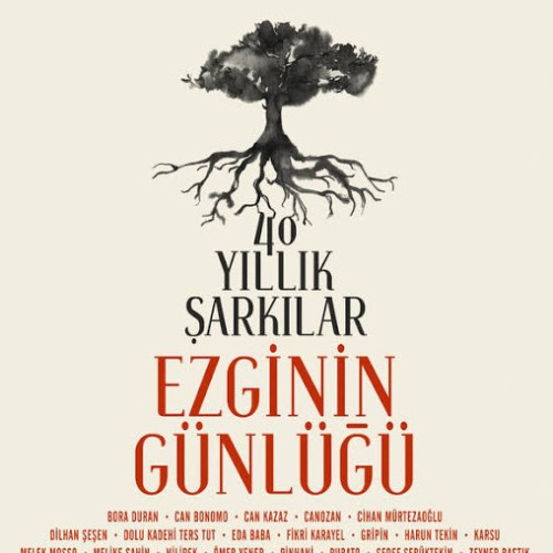 Ezginin Günlügü