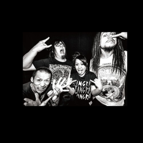 MAXIMUM THE HORMONE