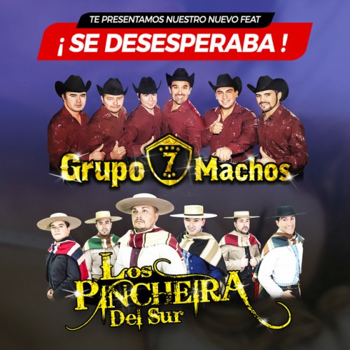 Grupo 7 Machos