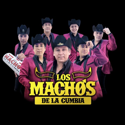 Los Machos de la Cumbia