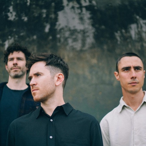 Zola Blood