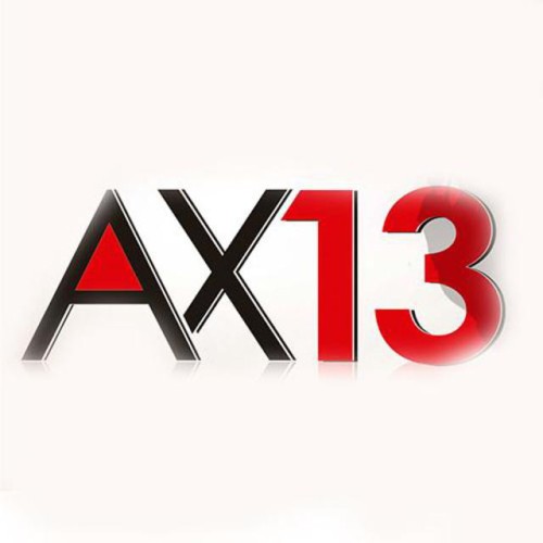 AX 13