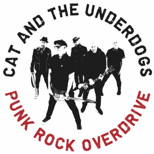 Cat and the Underdogs