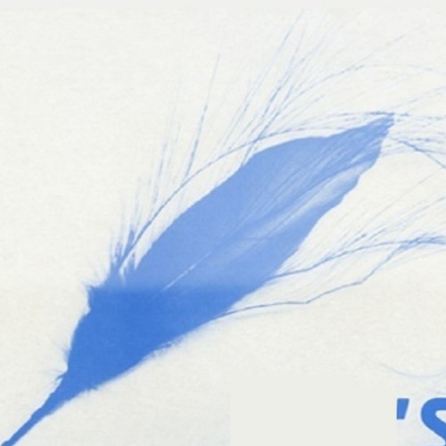 Blue Feather