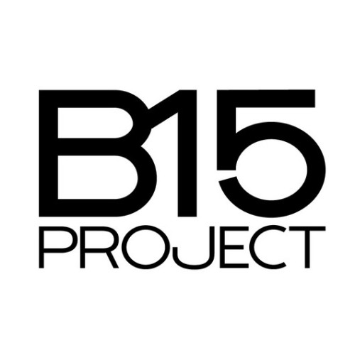 B15 Project