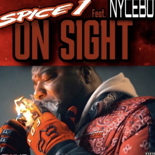 Spice 1