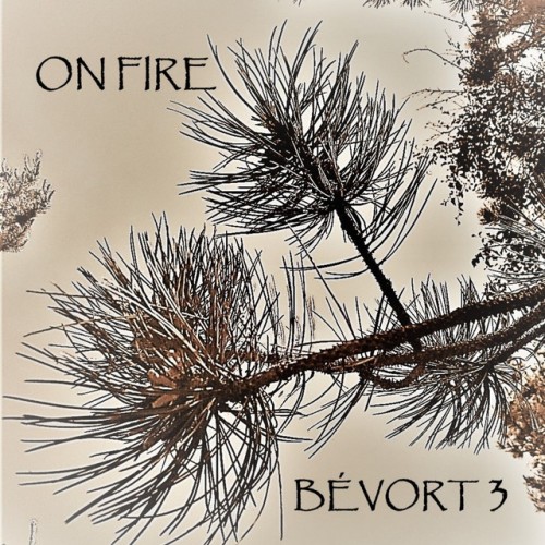 Bévort 3