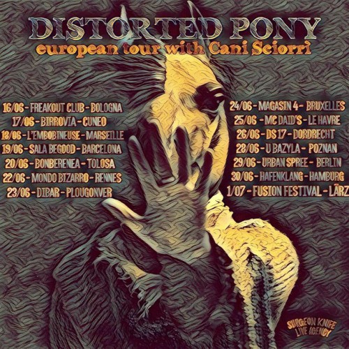 Distorted Pony