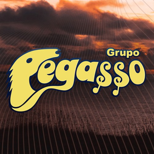 Grupo Pegasso