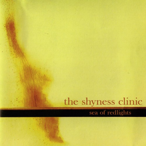 The Shyness Clinic