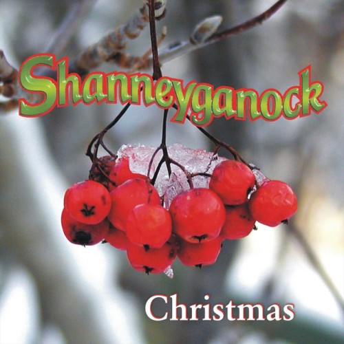 Shanneyganock