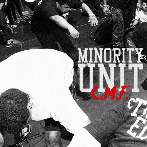 Minority Unit