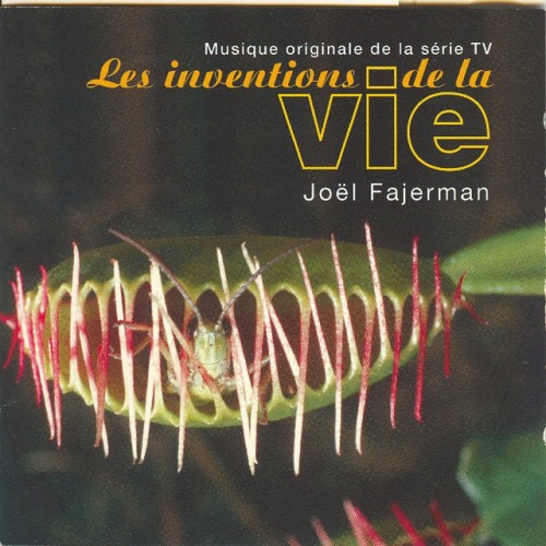 Joël Fajerman