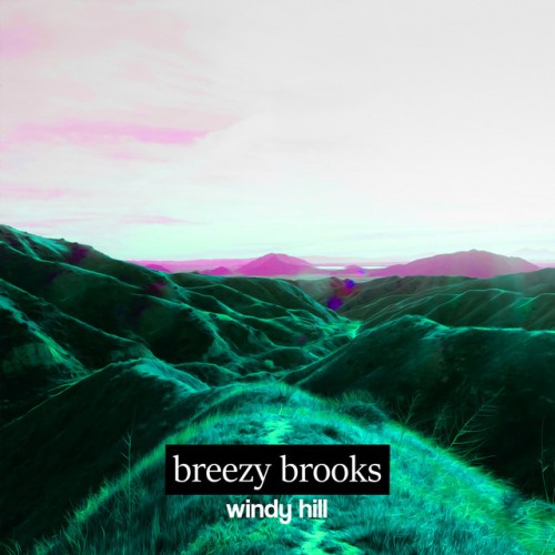 breezy brooks