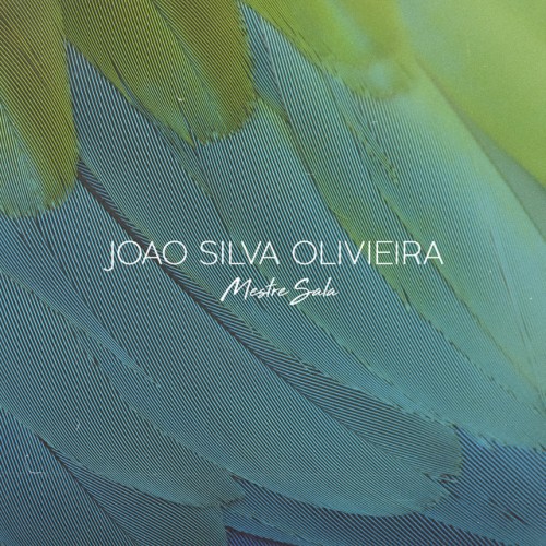 Joao Silva Olivieira