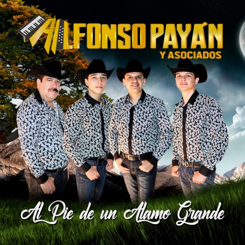 Alfonso Payan y Asociados