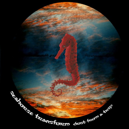 Seahorse Transform