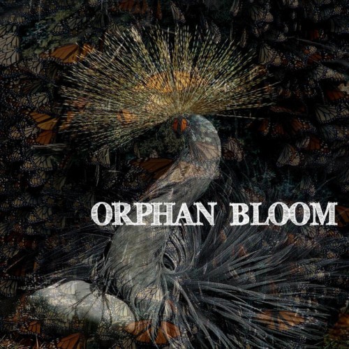 Orphan Bloom