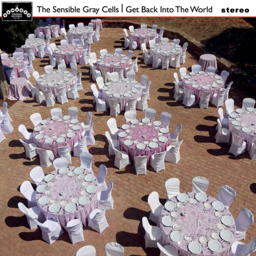 The Sensible Gray Cells