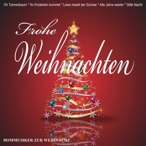 Dommusiker zur Weihnacht