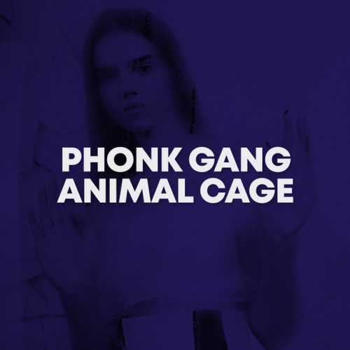 Phonk Gang