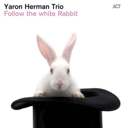 Yaron Herman Trio