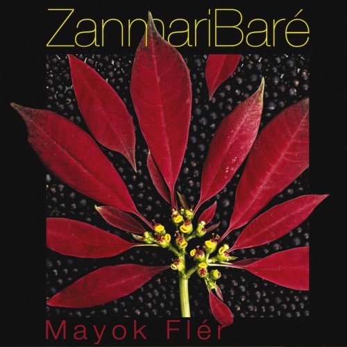 Zanmari Baré