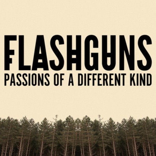 Flashguns