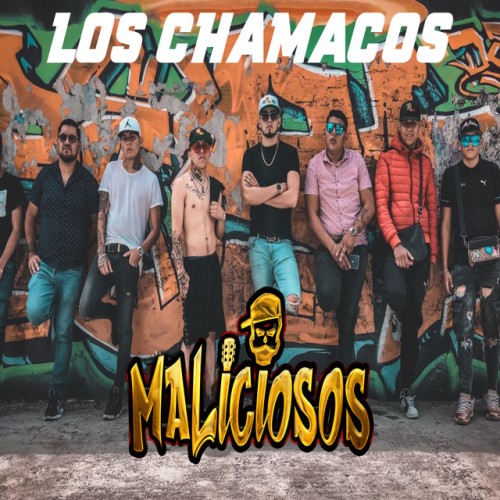 Maliciosos