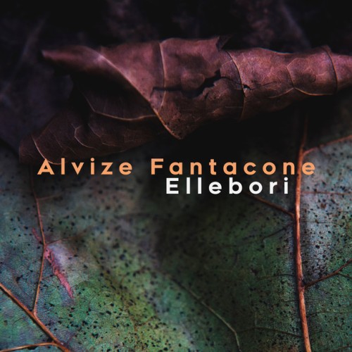 Alvize Fantacone