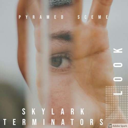 Skylark Terminators