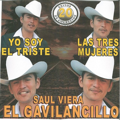 Saul Viera El Gavilancillo