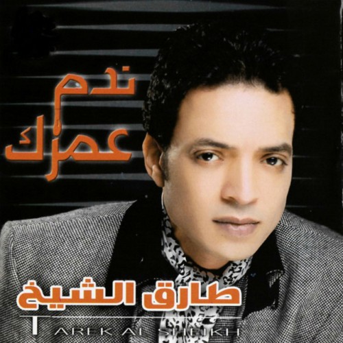 Tarek El Sheikh