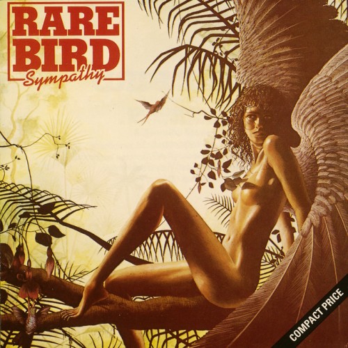 Rare Bird